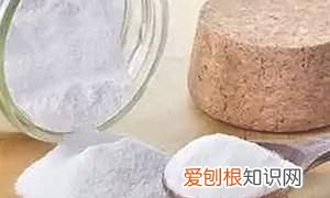 怎样去蟑螂,怎样彻底清除蟑螂赶跑小强