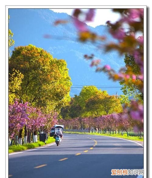 愿你一路繁花似锦下一句,一路繁花似锦下一句是什么