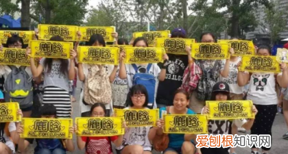 粉丝说带id是什么意思，抖音里的铁粉丝是什么意思