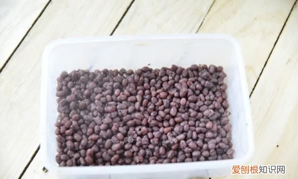 蜜红豆的制作方法和配方，蜜红豆怎么做——蜜红豆的做法