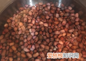 蜜红豆的制作方法和配方，蜜红豆怎么做——蜜红豆的做法