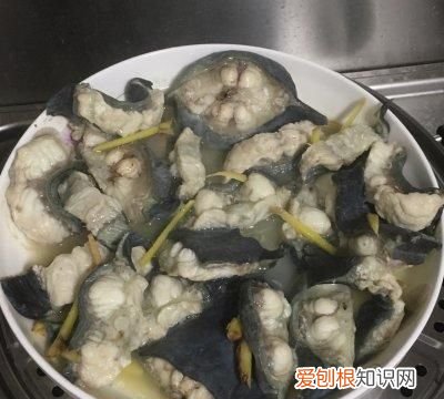 海鳗鱼的做法和禁忌，荸荠的功效与作用及禁忌