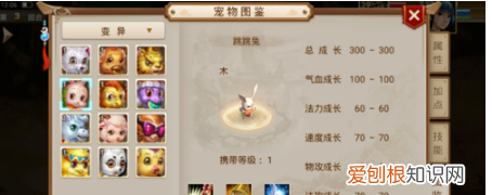 问道白果儿怎么加点