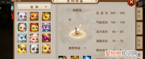 问道白果儿怎么加点