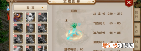 问道白果儿怎么加点