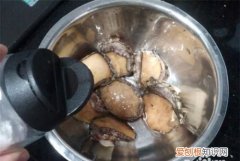 新鲜鲍鱼怎么清理，鲍鱼怎么清洗怎么做