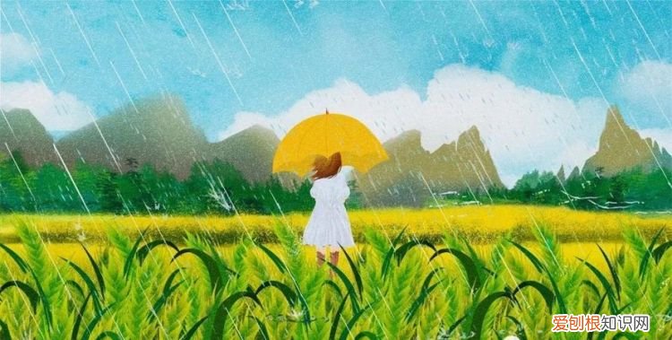 雨有什么作用，雨点有什么作用一年级