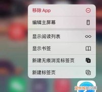 苹果无痕浏览怎么设置，苹果手机无痕浏览记录怎么查