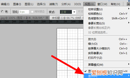 ps参考线怎么去掉快捷键，PS需要咋地才能隐藏参考线