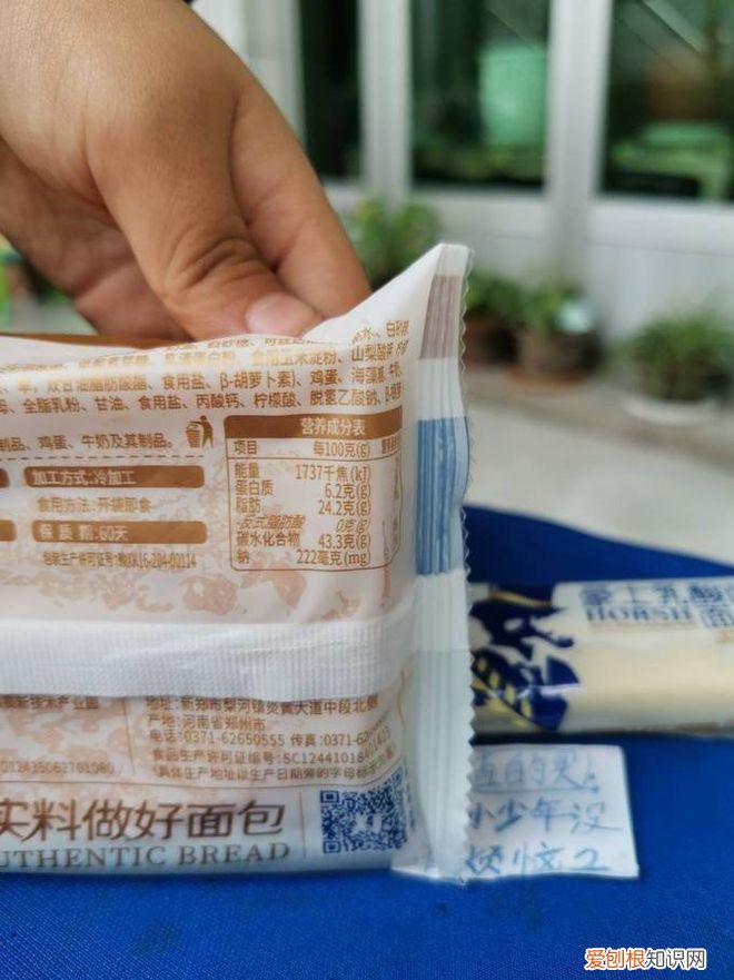 豪士乳酸菌酸奶小口袋面包