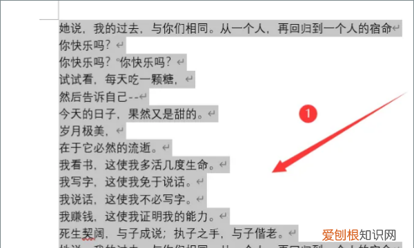 Word2007怎么清除格式，怎么清除word所有格式