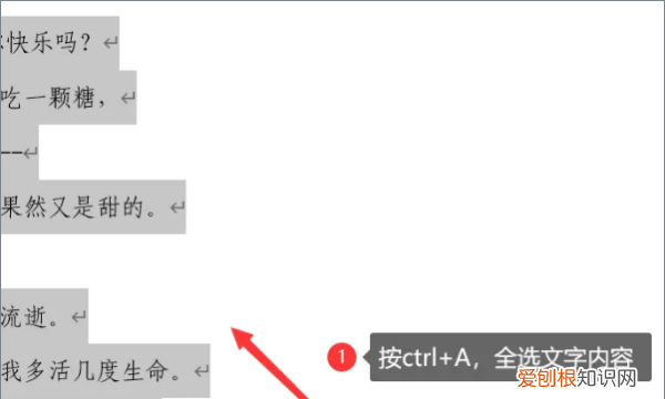 Word2007怎么清除格式，怎么清除word所有格式