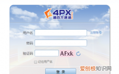 4px物流提供哪些业务，4px进口业务咨询是什么快递