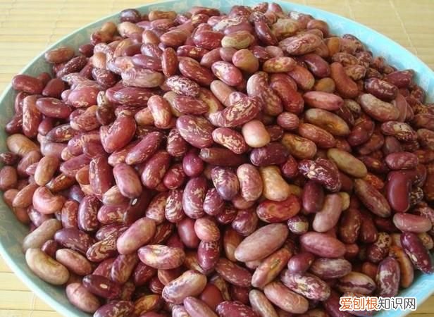 花豆怎么做好吃又简单，花豆怎么做才快又好吃不能和什么一起吃