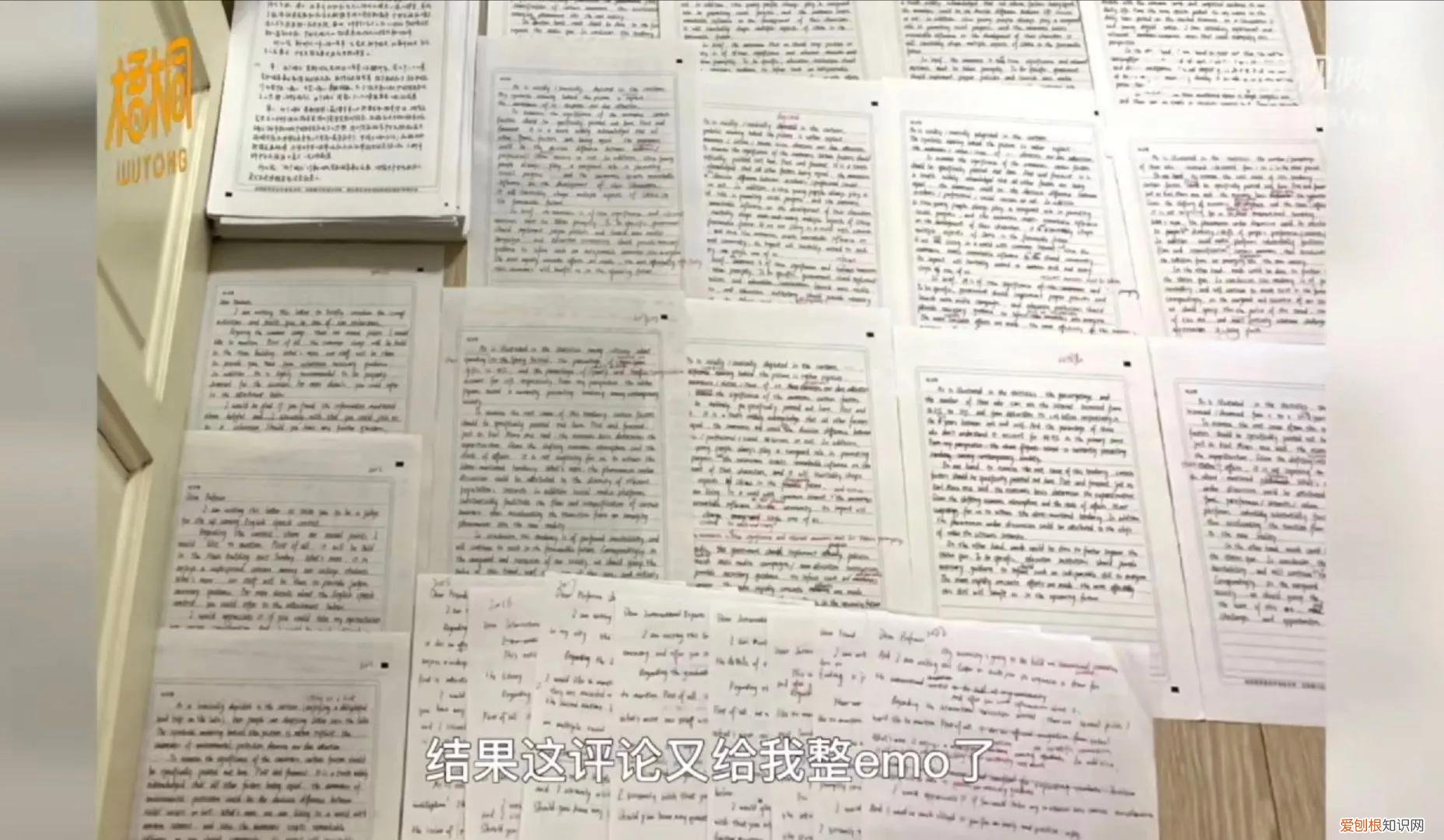95后考研落榜,父母双双上岸