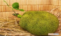菠萝蜜打开后有点生 还能变熟吗