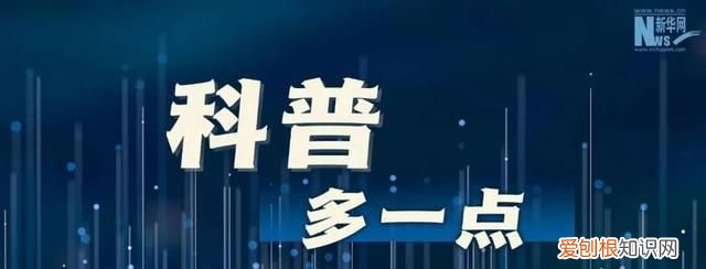 这种碗可能致癌没想到危害这么大
