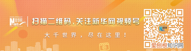 这种碗可能致癌没想到危害这么大
