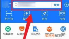 支付宝蚂蚁庄园咋揍别人小鸡，支付宝为什么不能揍好友小鸡