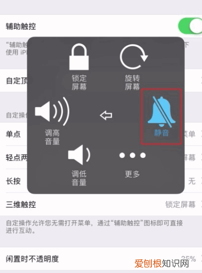 苹果手机怎么静音，苹果手机应该咋静音