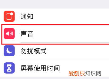 苹果手机怎么静音，苹果手机应该咋静音