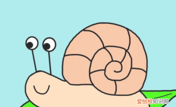 画蜗牛最简单的画法,蜗牛怎么画简单又好看