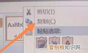 表格如何复制一模一样的格式