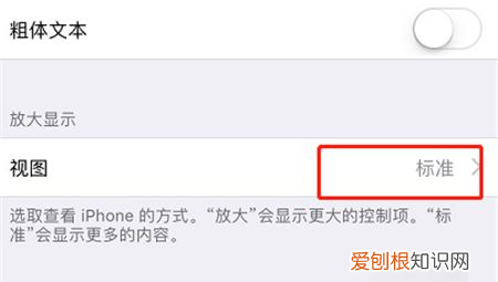 苹果手机桌面图标如何放大显示，苹果手机怎么调整软件图标大小