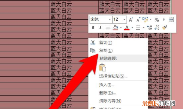 excel如何复制表格保持原有格式