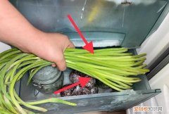 蒜苔放冰箱冷冻了还能吃吗