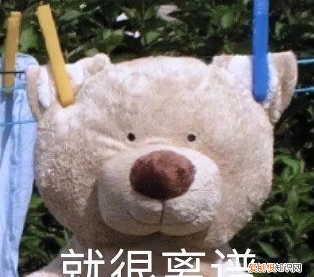 给我放个抖音看片
