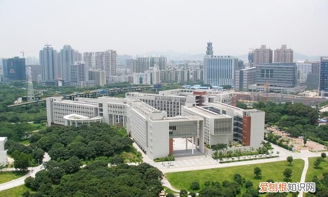 家庭关系称呼大全图