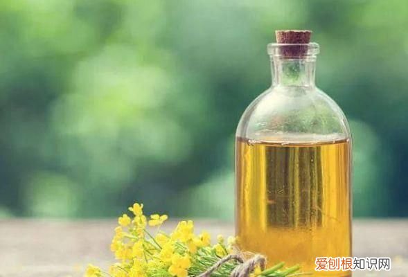 怎么分辨清油的好坏，怎么识别菜子油好与坏