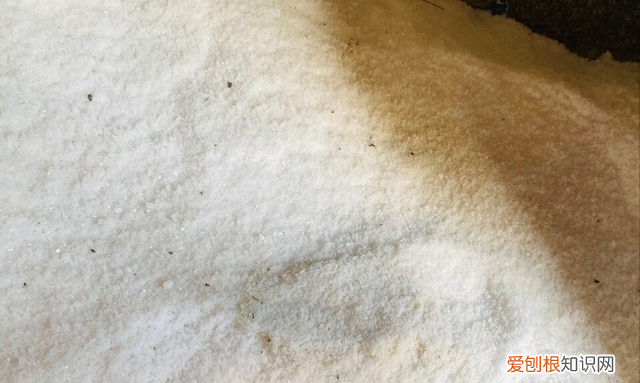 生理海盐和家里的精盐有区别吗 买食用盐挑精盐还是海盐