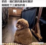 被真实了什么意思