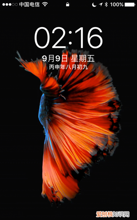 苹果手机应该怎样设置日历，苹果手机怎么显示日历在桌面