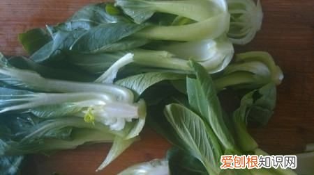 油焖油菜的家常做法，油菜的做法大全家常菜的做法视频