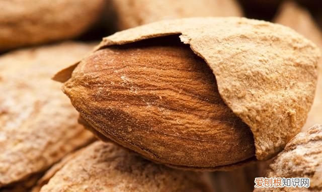 吃错杏仁的坏处,杏仁吃几个中毒