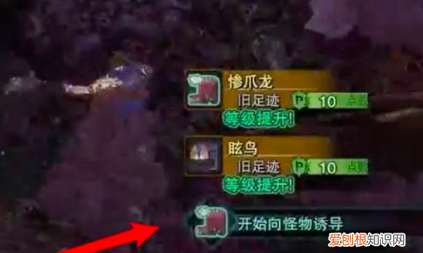 怪物猎人世界怎么找龙，怪物猎人世界钩爪怎么用