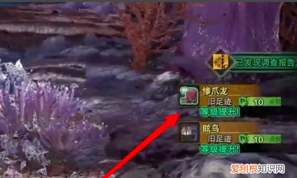 怪物猎人世界怎么找龙，怪物猎人世界钩爪怎么用