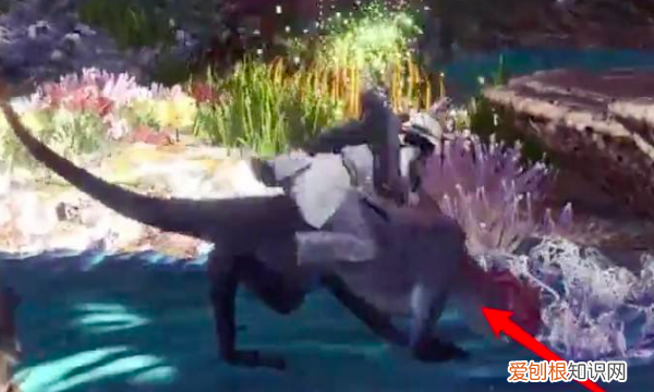 怪物猎人世界怎么找龙，怪物猎人世界钩爪怎么用