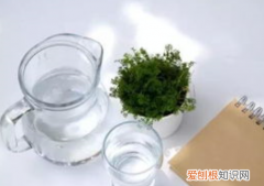 淡盐水的作用及做法，自制淡盐水的做法视频