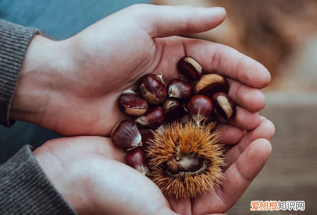 糖炒栗子有哪些营养,板栗除了糖炒栗子还有什么做法