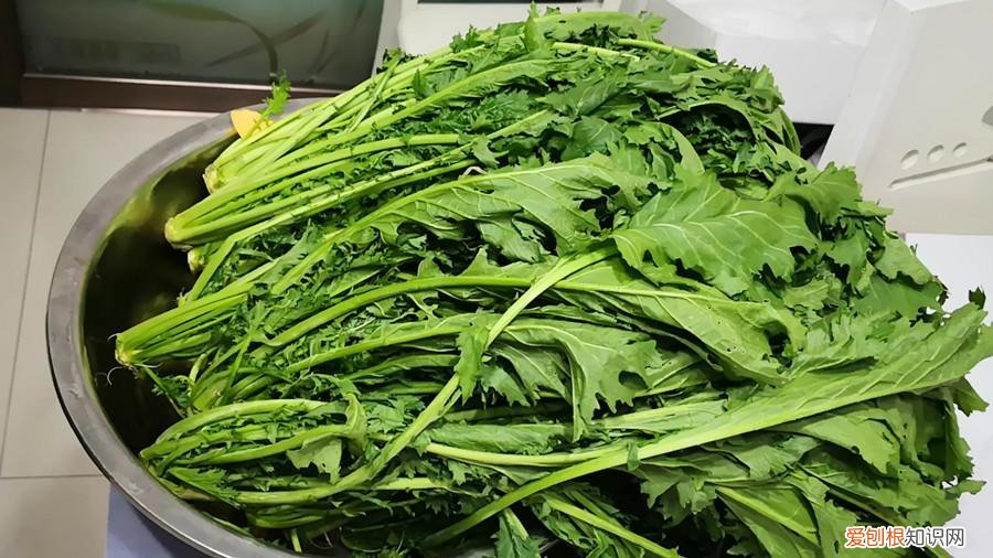 雪里蕻的腌制方法和储存