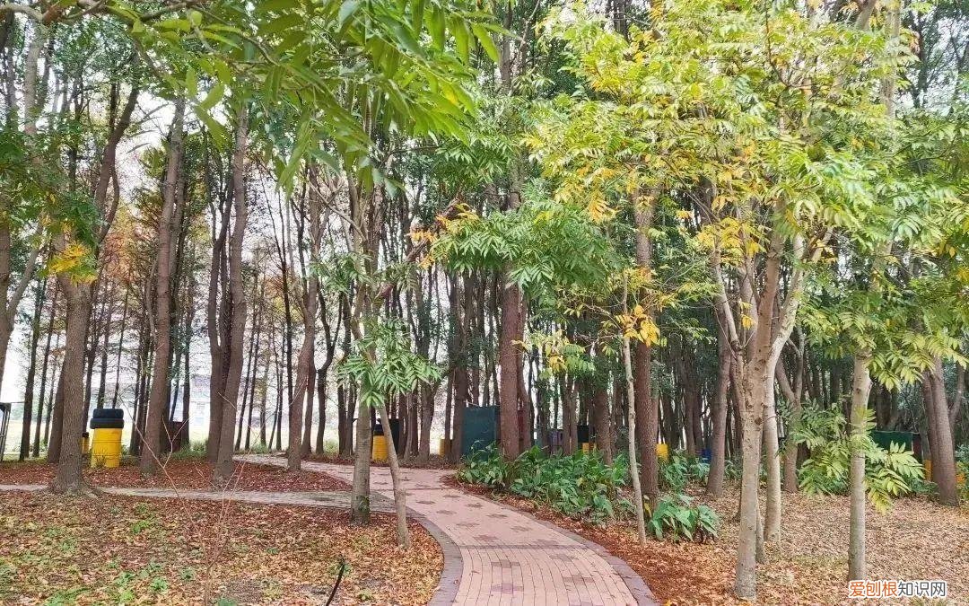 上海浦江镇