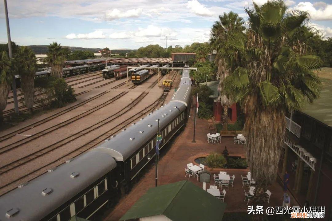 非洲之傲列车