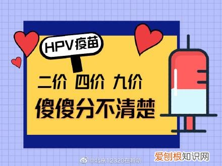进口宫颈疫苗2价4价9价区别