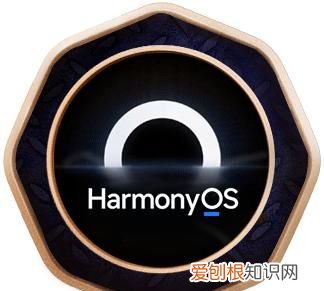 怎样查看鸿蒙升级勋章，鸿蒙电子勋章是什么意思