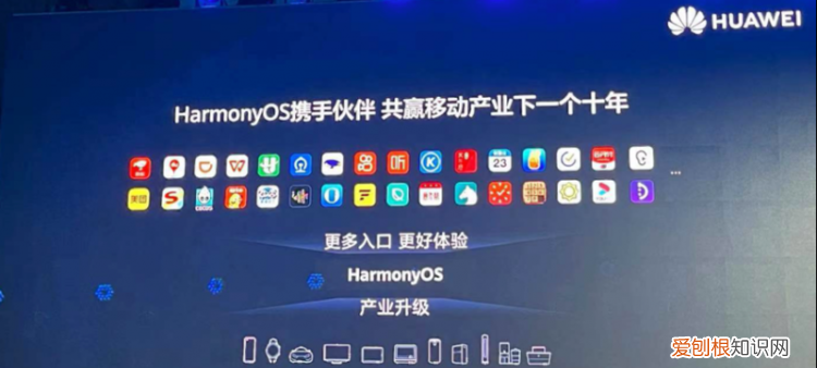 怎样查看鸿蒙升级勋章，鸿蒙电子勋章是什么意思