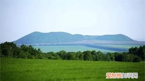 植树节含义和来历是什么?,植树节的由来最新